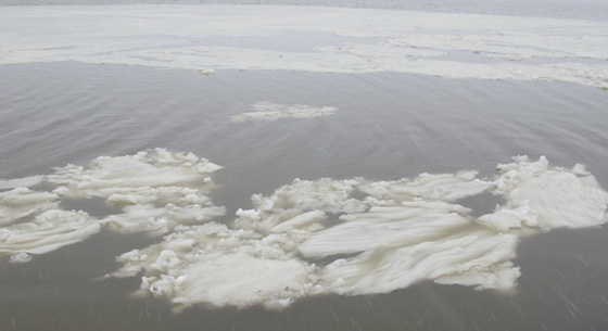 昆明市东川区发生4.5级地震 震源深度13公里