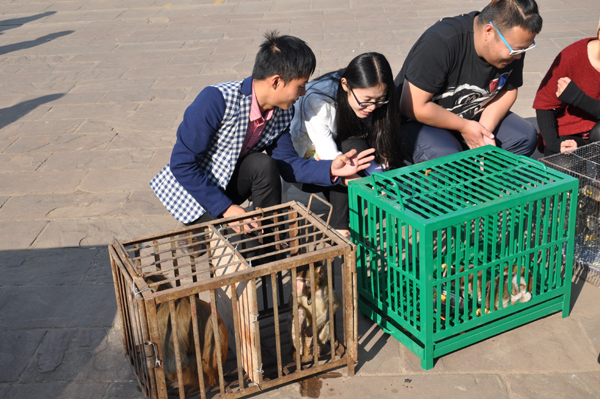 云南野生动物园启动最大规模放生活动 前往普洱放生