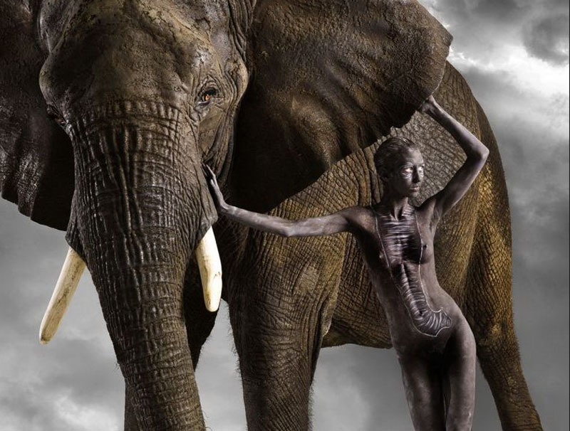 另类摄影:裸模化身野兽