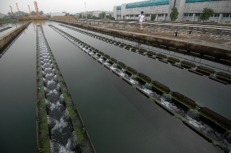 新安江水域苯酚浓度下降 水厂水质达标 超市供水充足