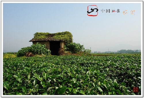 丽水：山清水秀灵毓地
