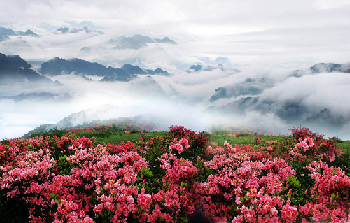 丽水：山清水秀灵毓地