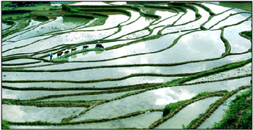 丽水：山清水秀灵毓地