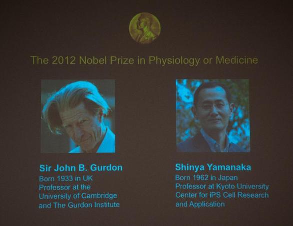 英、日科学家分享2012年诺贝尔生理学或医学奖