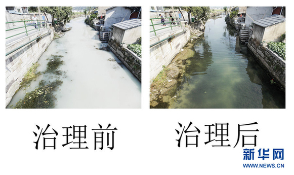 浙江绍兴开始整治“牛奶河”