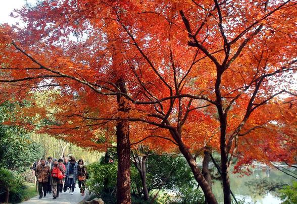 西湖旅游 淡季不淡