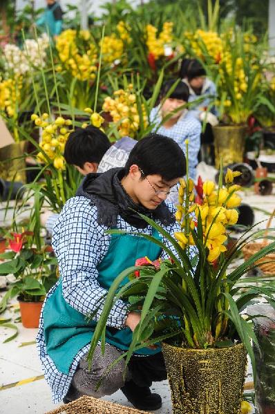杭州“鲜花超市”万盆鲜花迎新春