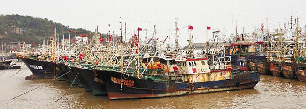 3月伏休 东海渔场面临无鱼绝境