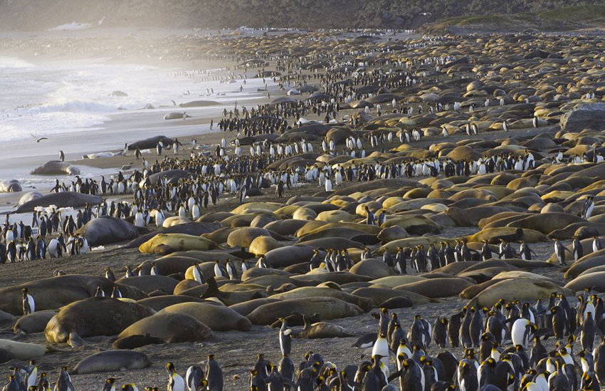 卡塔尔机场免税店庆贺春节