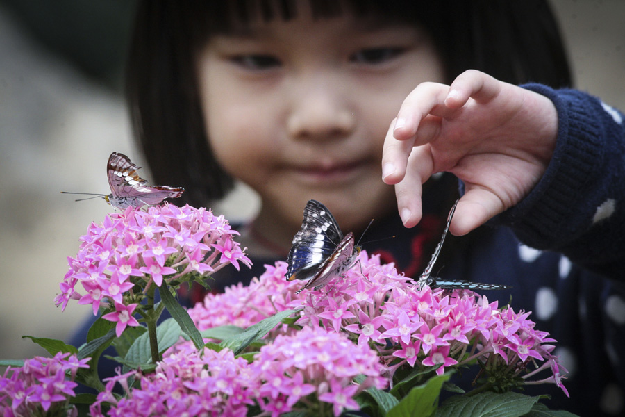 城市形象微电影(视频)大赛今天启动