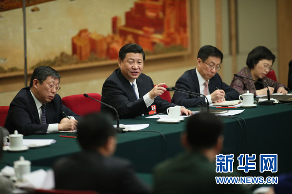 习近平等领导同志和代表一起审议政府工作报告