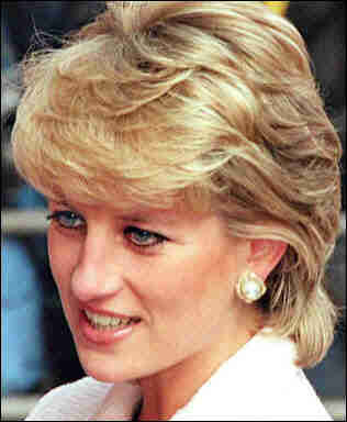 princess diana. princess diana car crash