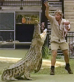 Anger over Australia crocodile hunter's baby stu