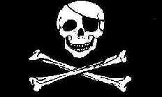 Worldwide pirate attacks hit record high 