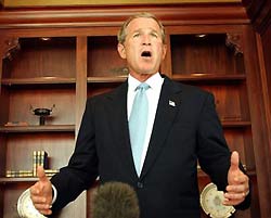 Bush assures americans after power outage