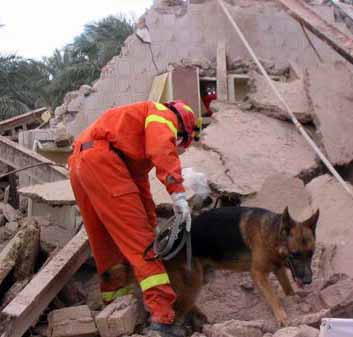 Chinese rescuers in Iran