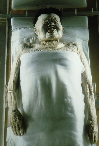 mummified bodies