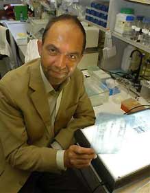 Professor Alec Jeffreys with a copy of the first DNA fingerprint profile at the University of Leicester, in England, Wednesday Sept. 8 2004. Jeffreys, the scientist who discovered genetic 'fingerprinting' two decades ago said Wednesday that he has some concerns about the use of the technology. 'I think there are potentially major issues about genetic privacy,' Jeffreys said at a briefing to mark the 20th anniversary of the discovery on Sept. 10, 1984. [AP Photo]