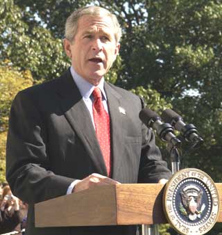 bush,saddam,wmd,iraq