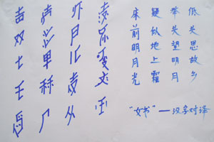 Nüshu: China's secret female-only language