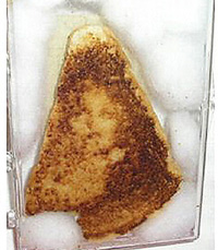 'Virgin Mary' toast fetches $28,000 