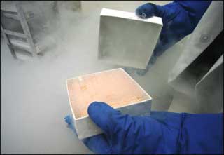 US researcher holds a box containing vials of human embryonic stem cell cultures. A South Korean woman paralyzed for 20 years is walking again after scientists say they repaired her damaged spine using stem cells derived from umbilical cord blood. [AFP/file]