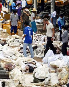 An unidentified Western tourist tries to find loved ones among bodies lined outside a temple in Takuapa, near Phuket December 29, 2004. Western holidaymakers -- especially Scandinavians -- bore the brunt of deadly tidal waves that hit Thailand, officials said Wednesday, as rescuers continued the horrific task of retrieving and identifying corpses. [AFP]