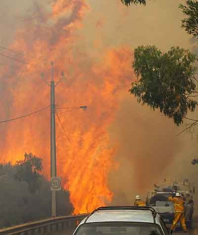 Firefighters are confronted by a wall of flames on the South Eastern Freeway at Mount Osmond near Adelaide January 11, 2005. Ten people are now confirmed dead as fires raged on the outskirts of the city of Adelaide and across lower Eyre Peninsula, located around 300 km (180 miles) west of Adelaide. [Reuters]