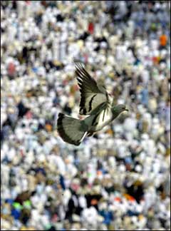 Flying over Mecca : A pigeon flies over hundreds of Muslim pilgrims praying outside Mecca's Grand Mosque. (AFP