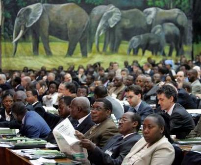 Delegations attend the opening session of the second Central Africa heads of state summit on conservation and sustainable management of forests ecosystems, in Brazzaville February 5, 2005. [Reuters]