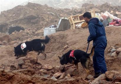 An Iranian Red Crescent member with his rescue dogs search the rubble of an earthquake damaged house in Dahoueieh on the outskirts of Zarand, a town 35 miles northwest of Kerman, Iran on Wednesday Feb. 23, 2005. A powerful earthquake shook central Iran on Tuesday, destroying villages, killing at least several hundred people and injuring more than 1,000, state-run television reported. (AP Photo/Hasan Sarbakhshian) 