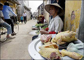 A vendor sits next to a tray filled with chickens for sale in Hoai Duc district, Northern province of Ha Tay. A 69-year-old man has died of bird flu in Vietnam, the fourteenth fatality from the disease in the country this year, and another is in critical condition, health officials said.(AFP/