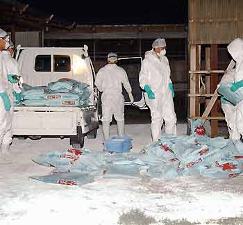 Officials prepare to disinfect a poultry farm in Mitsukaido, northeast of Tokyo, June 26, 2005. A weak strain of the H5N2-type avian influenza virus has been detected in chickens at the farm where about 800 of its 25,000 chickens died between April and June, the Ministry of Agriculture, Forestry and Fisheries said on Sunday. [Reuters]