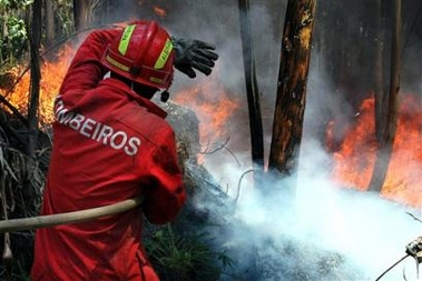 Portuguese firefighters fight a wildfire in Albergaria-A-Velha, Aveiro, center Portugal, Friday, July 8, 2005. Hundreds of firefighters were battling several wildfires in central and northern Portugal, which threatened homes and forced the closure of several roads, including the nation's busiest highway. (AP