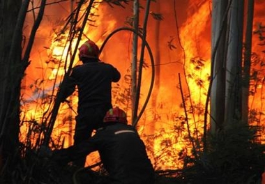 Portuguese firefighters fight a wildfire in Albergaria-A-Velha, Aveiro, center Portugal, Friday, July 8, 2005. 