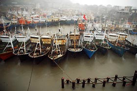 Fishing boats are docked at a port in Cangnan county in east China's Zhejiang province July 19, 2005. 