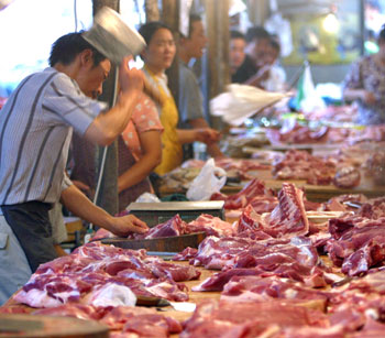China still on pig disease alert