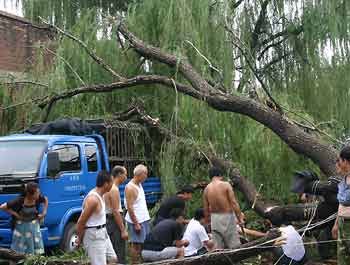 An automobile is damaged by a old tree that is pulled out in the rainstorm. A heavy rain hit Taiyuan, capital of North Chinas Shanxi Province, on Friday, August 12,2005, bringing much inconveniences to transportation and local residents. [newsphoto]