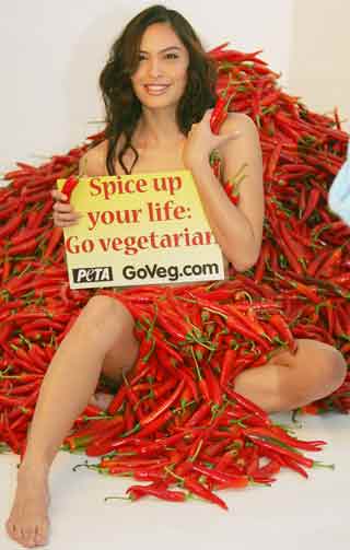 Philippine model Isabel Roces displays a placard promoting vegetarian food as she poses with 250 kg of chillies during a photo shot for People for the Ethical Treatment of Animals (PETA) in Bangkok, August 24, 2005. [Reuters]