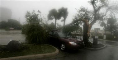 A tree was blown over on top of a car in Fort Lauderdale, Fla. as Hurricane Katrina came ashore late Thursday, Aug. 25, 2005. Two deaths have been reported with people trapped in cars and downed trees. (AP