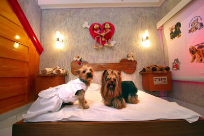 doggy love motel