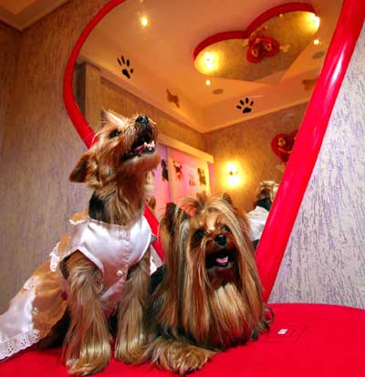 doggy love motel