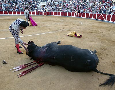 A Spanish assistant bullfighter delivers the coup de grace (a deathblow) to a bull during the 'Virgen del Puerto' bullfighting fair in Santona, northern Spain, September 8, 2005. 