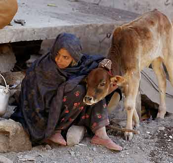 A Pakistani earthquake victim holds her pet calf as she sits in rubble in Balakot October 22, 2005. The international response to the Pakistani earthquake has been inadequate and the speed and scale of relief for millions of survivors has to be intensified as winter approaches, the United Nations said on Saturday. [Reuters]