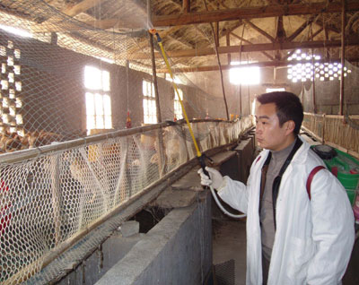 China has confirmed two new outbreaks of the deadly H5N1 strain of bird flu in poultry as the virus continues to take its toll on Asia, heightening concern among health experts searching for ways to contain it. 