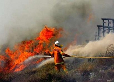 A Rural bush fire fighter tries to extinguish a fire that was headed towards homes in the northern Sydney suburb of Belrose January 1, 2006.