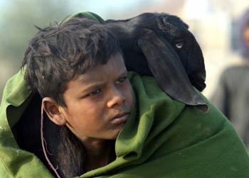 A child covers himself and his goat with a warm cloth to protect from cold during a chilly evening at village Bharatpur in the northern India state of Punjab January 8, 2006.
