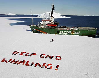 Crew members from the Greenpeace vessels the MY Arctic Sunrise (Top) and the MY Esperanza use their bodies to spell the slogan "Help End Whaling !" on the ice of Antarctica January 20, 2006. The environmental group said they are finishing their two month campaign against a whaling fleet from Japan in the Southern Ocean.