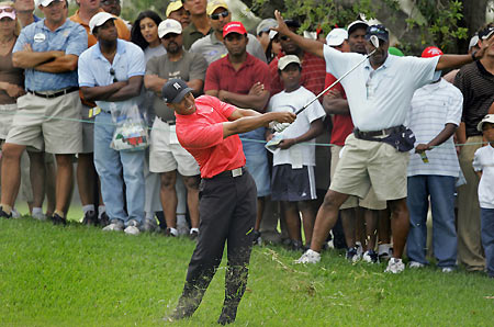Tiger Woods of U.S. watches his shot along with the gallery on the second fairway during the fourth round of the Doral Championship golf tournament in Miami, Florida March 5, 2006.[Reuters]