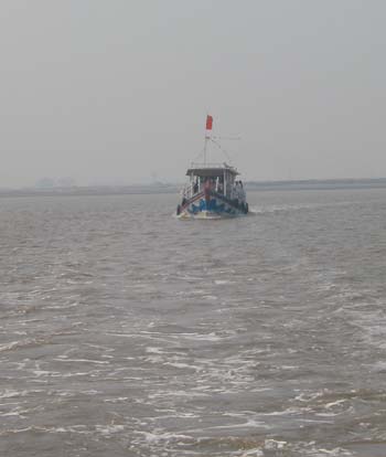 Grassy Puti Island in Laoting County